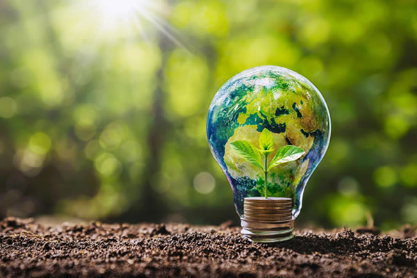 ENVIRONNEMENT-DEVELOPPEMENT DURABLE